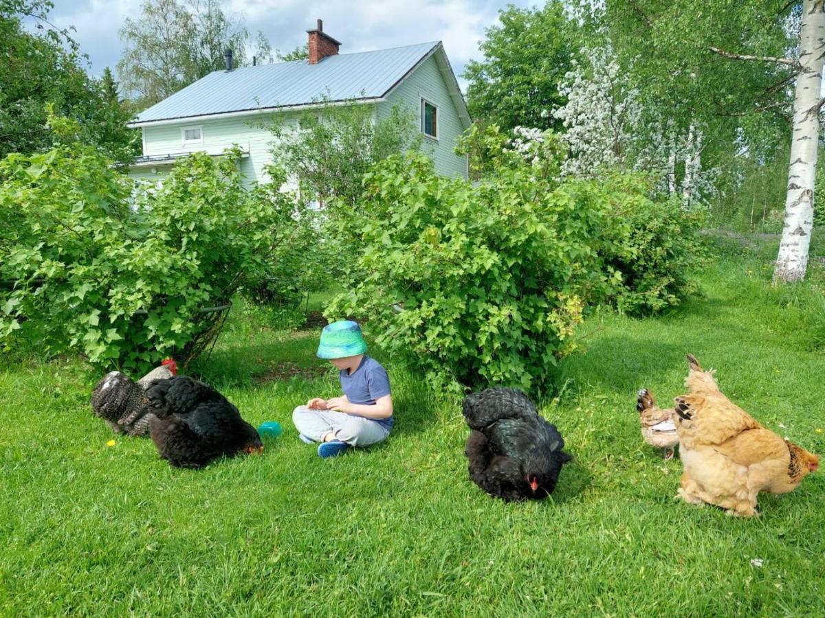 Kivirannan tupa Villa Ylivieska Bagian luar foto