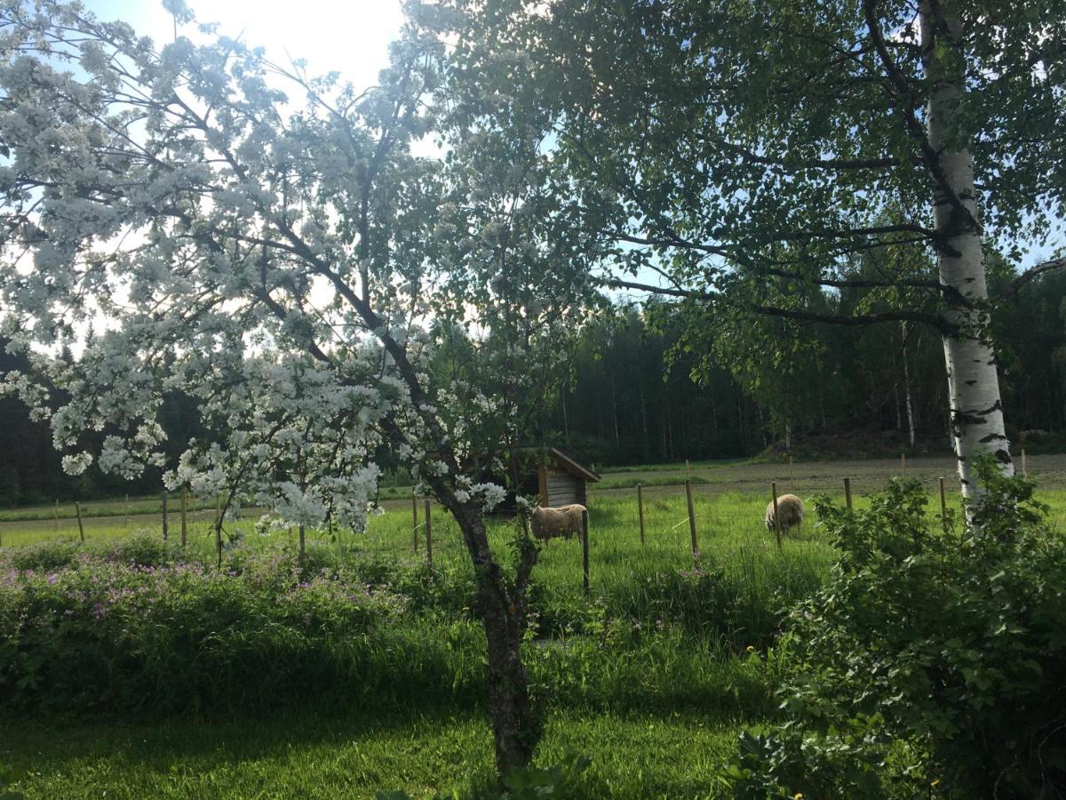 Kivirannan tupa Villa Ylivieska Bagian luar foto