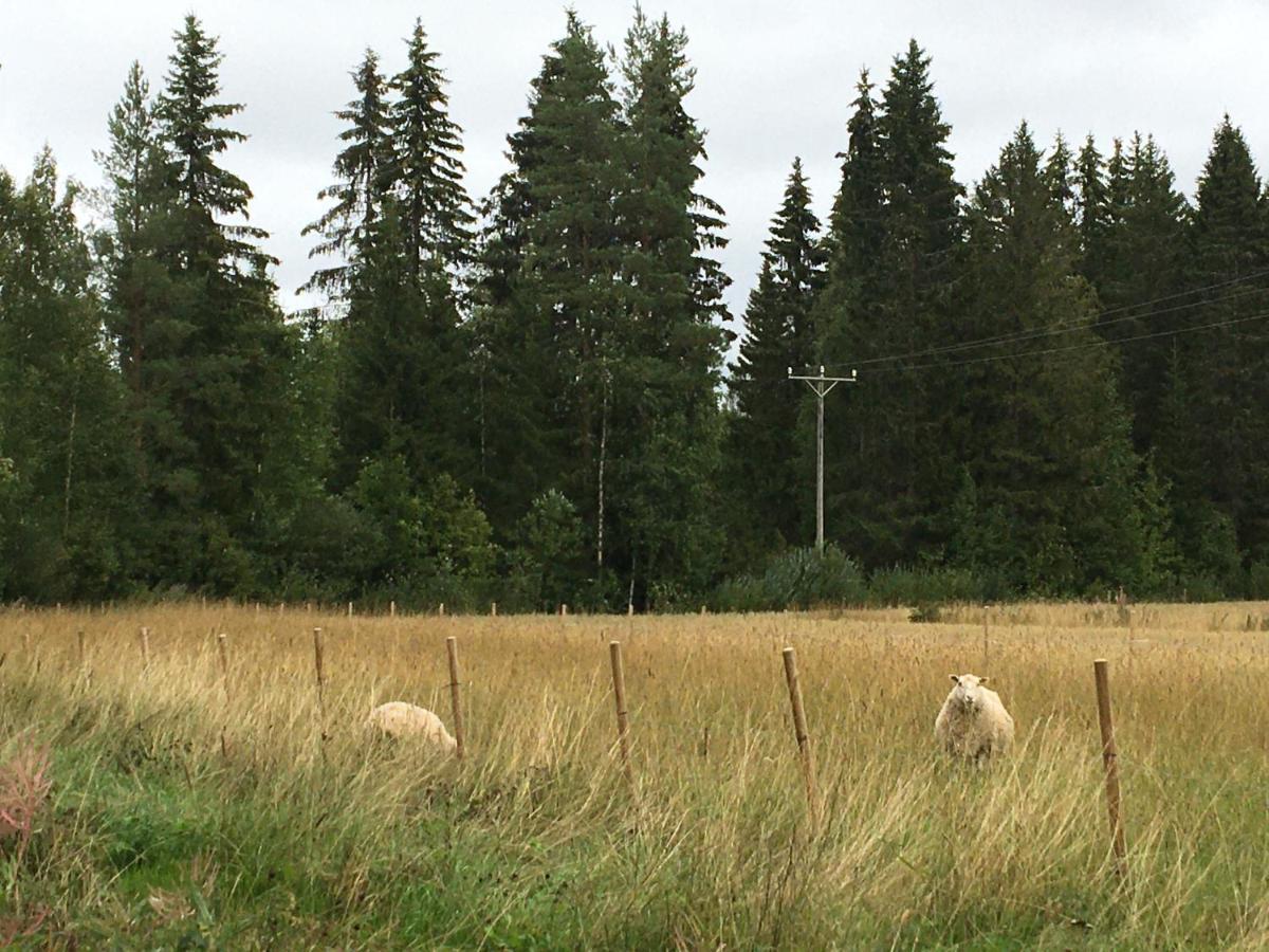Kivirannan tupa Villa Ylivieska Bagian luar foto
